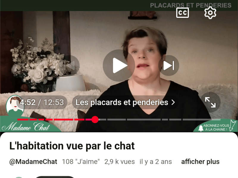 🎞️Vidéo 12min l habitation vue par le chat&nbsp;🐱